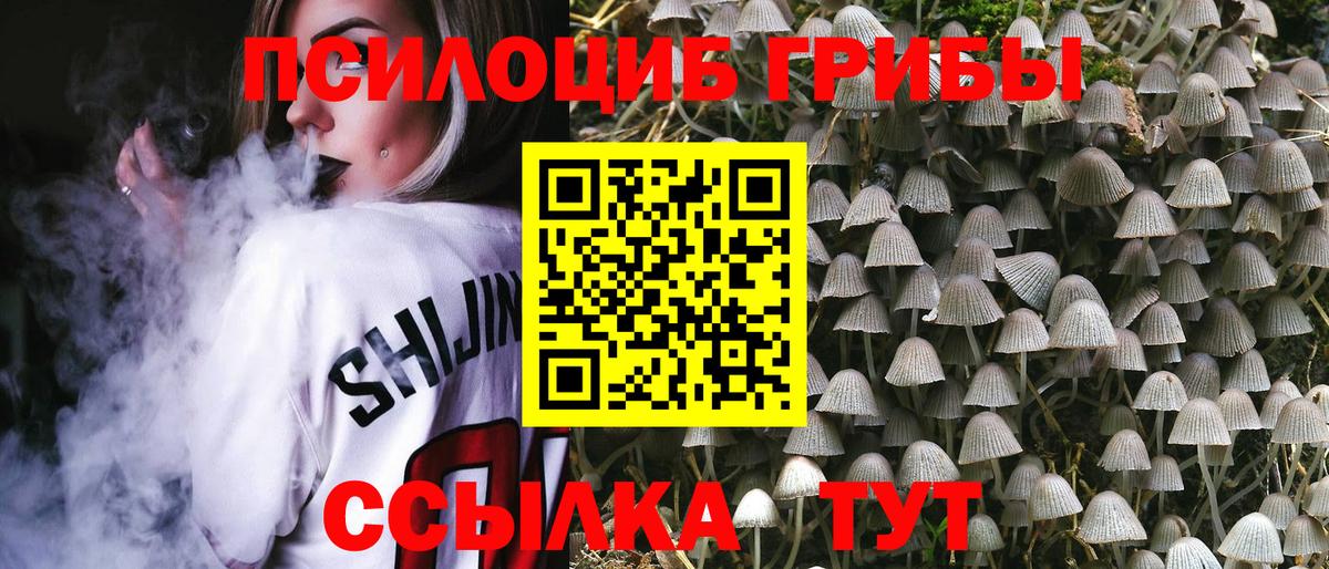 Галлюциногенные грибы мицелий  Галлюциногенные грибы Cubensis  Вход с VPN  Хабаровск 